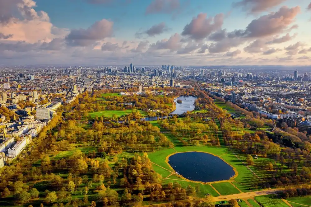 Chauffeur For RHS Chelsea Flower Show