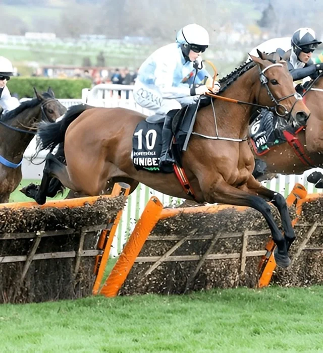 Chauffeur For Grand National Aintree Racecourse