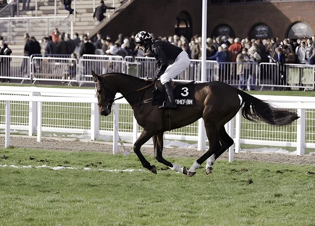 Chauffeur For Grand National Aintree Racecourse London